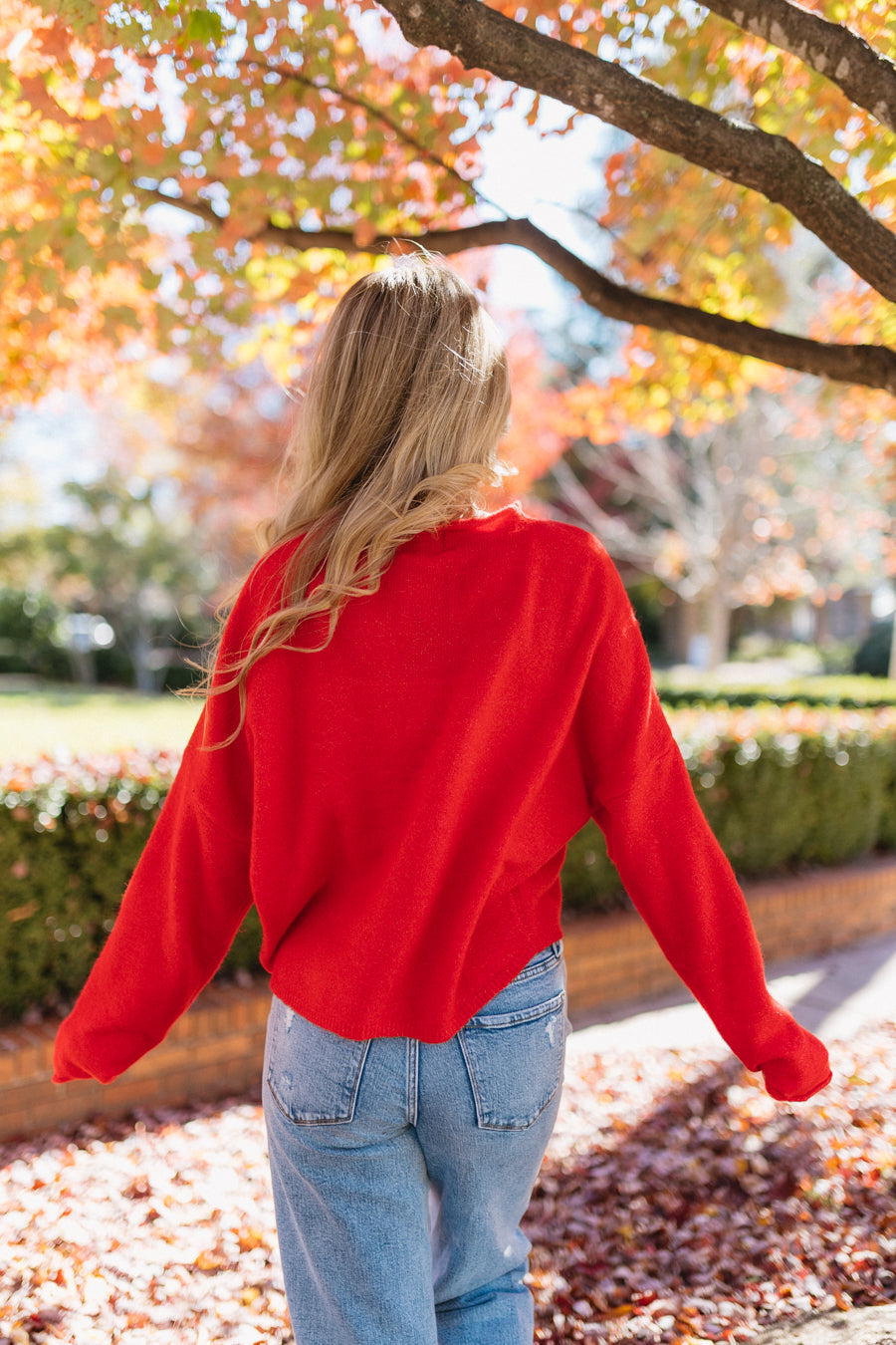 #color_red
